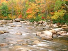 autumnnewhampshire.jpg