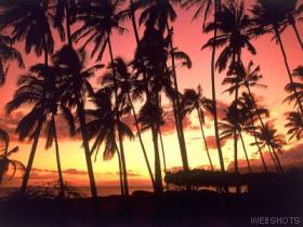hawaiiansunset.jpg